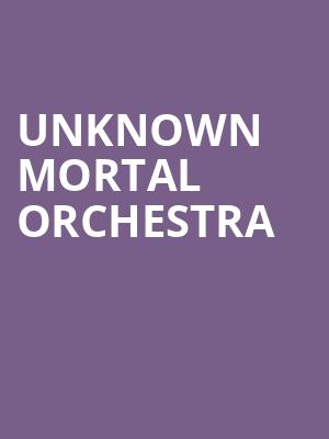 Unknown Mortal Orchestra, Riverside Municipal Auditorium, San Bernardino